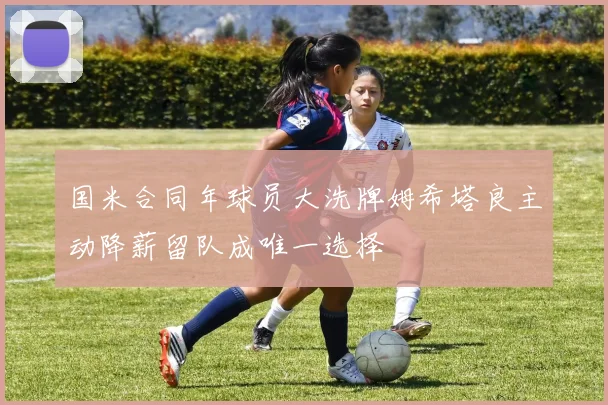 国米合同年球员大洗牌姆希塔良主动降薪留队成唯一选择