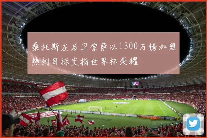 桑托斯左后卫索萨以1300万镑加盟热刺目标直指世界杯荣耀