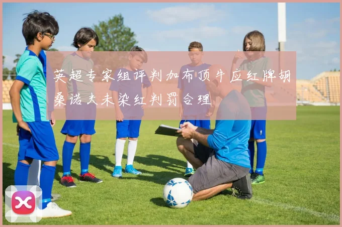 英超专家组评判加布顶牛应红牌胡桑诺夫未染红判罚合理